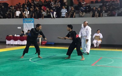 Pencak Silat